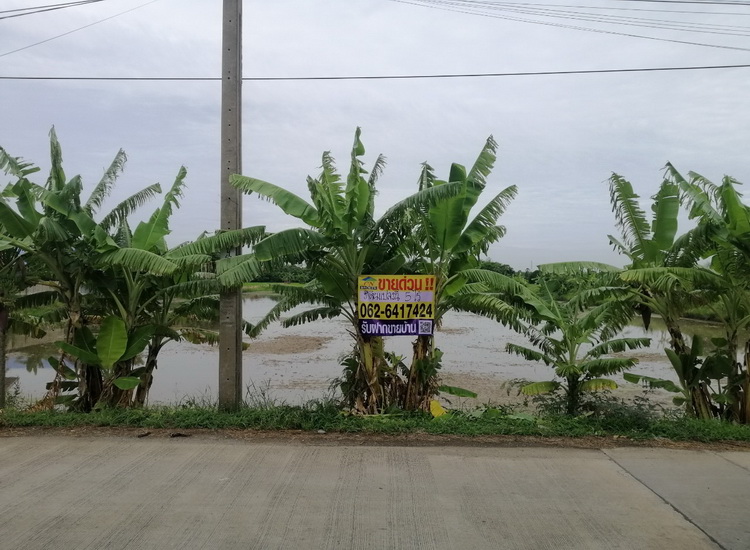 For SaleLandNonthaburi, Bang Yai, Bangbuathong : Empty land for sale, 5-0-6 rai, on rural highway, Nonthaburi 3086, along Khlong To Mai, Bang Khu Rat Subdistrict, Bang Bua Thong District, Nonthaburi, 2.4 km from Wat Lat Pla Duk Road.