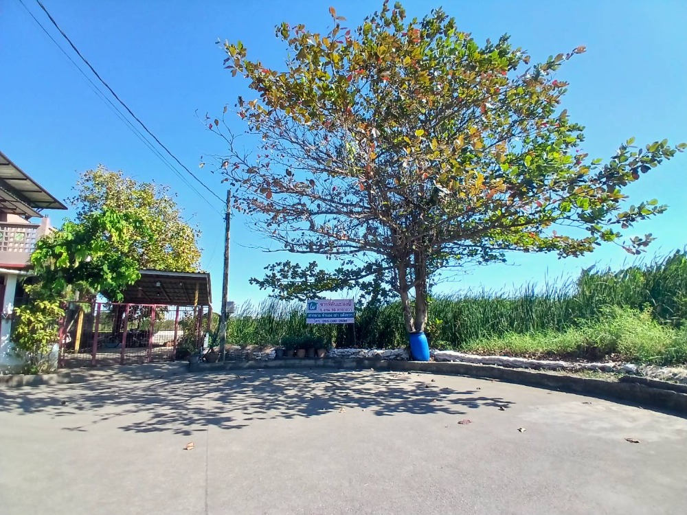 For SaleLandPattanakan, Srinakarin : Land for sale, Thepthani Village, Chaloem Prakiat Road, Rama 9, Soi 62, call 0999983897