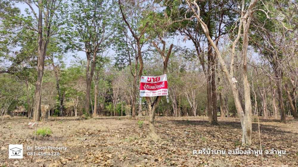 For SaleLandLamphun : Land for sale near Lamphun Government Center (new location) 1-2-82.8 rai, good atmosphere, vacation home style