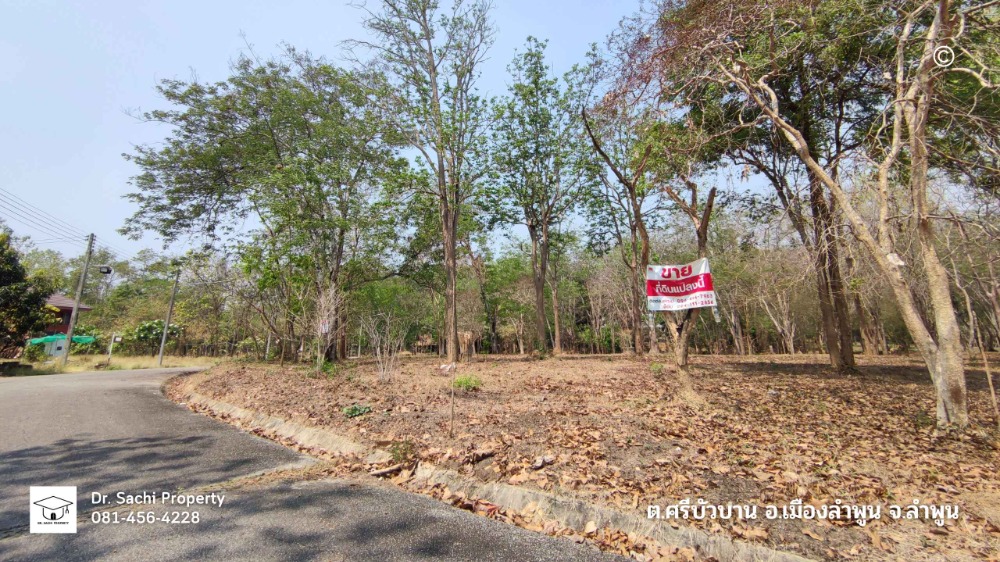 ขายที่ดินลำพูน : ขายที่ดิน 344 ตร.ว. ใกล้ศูนย์ราชการจังหวัดลำพูน (แห่งใหม่) บรรยากาศดี สไตล์บ้านพักตากอากาศ