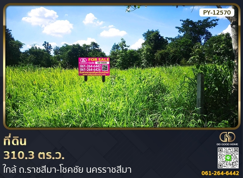 For SaleLandKorat Nakhon Ratchasima : 📢Land 310.3 sq w. near Ratchasima-Chokchai Road, Nakhon Ratchasima.