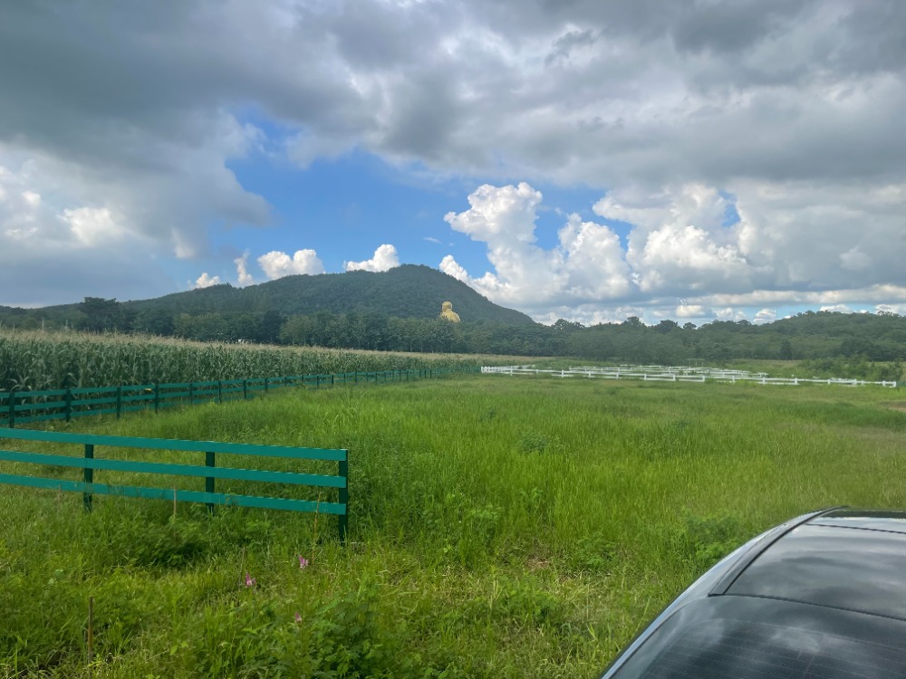 For SaleLandPak Chong KhaoYai : Land for sale in Khao Yai, Pak Chong, Nakhon Ratchasima, good location, prosperous, safe.