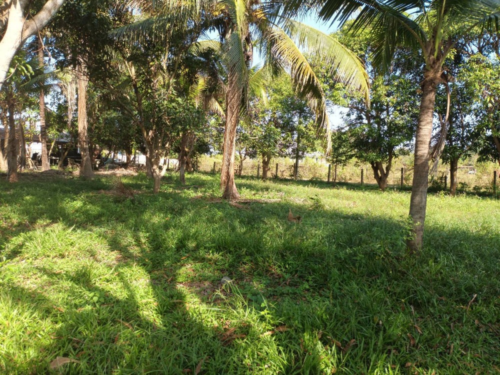 For SaleLandUbon Ratchathani : Land next to the road on 2 sides, for sale, 100 sq m, 3 plots, Soi Sor. 1, near Kham Yai Subdistrict Health Hospital, Mueang District, Ubon Ratchathani Province.