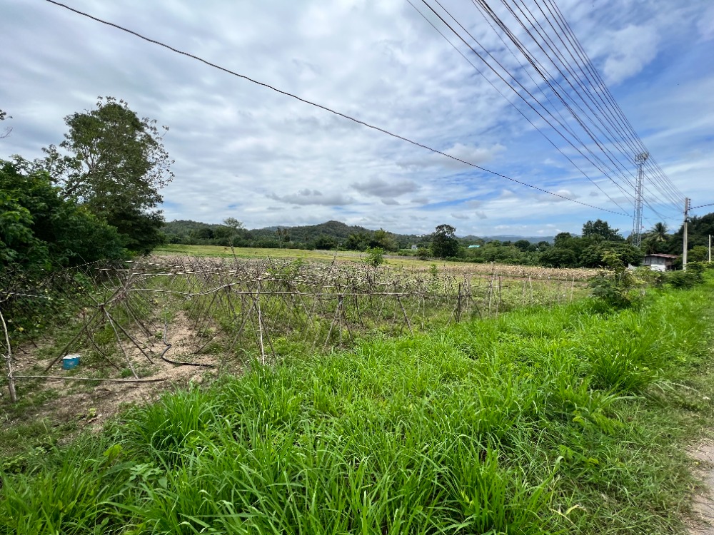 For SaleLandPak Chong KhaoYai : Land for sale, 18 rai, beautiful view, next to natural water sources, mountains, close to community areas. and public services, Khanong Phra, Pak Chong, Nakhon Ratchasima