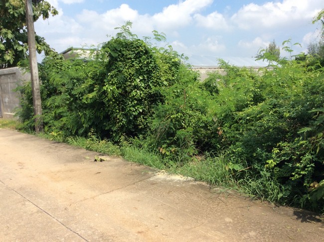 For SaleLandRathburana, Suksawat : sss433 Empty land for sale, Phet Hueng, Samut Prakan.