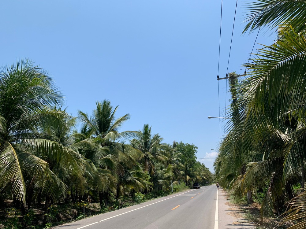 For SaleLandSamut Songkhram : Amphawa land, cheap price, fronting on a 2-lane road, next to Lam Pradong, very beautiful!!!