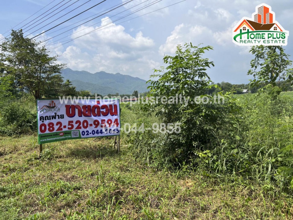 For SaleLandKanchanaburi : Land in Wang Dong Subdistrict, Mueang District, Kanchanaburi, area 8 rai.