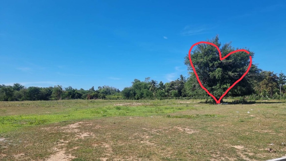 For SaleLandHuahin, Prachuap Khiri Khan, Pran Buri : Land for sale in Hua Hin, beautiful plot 5 rai 91 sq m., next to 4 lane road, line 3218, Hin Lek Fai Subdistrict, Hua Hin District, Prachuap Khiri Khan Province.