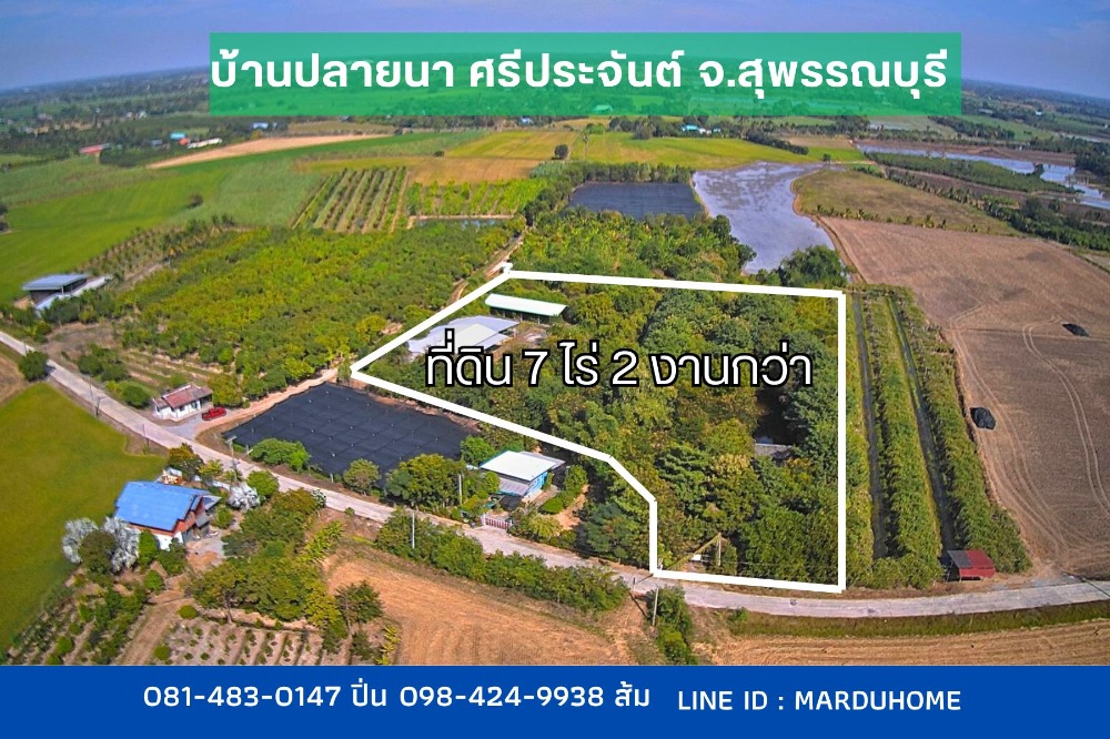 ขายที่ดินสุพรรณบุรี : ที่ดิน พร้อมโรงงาน สวนป่า เนื้อที่ 7 ไร่ 2 งานกว่า ต.ปลายนา อ.ศรีประจันต์ จ.สุพรรณบุรี