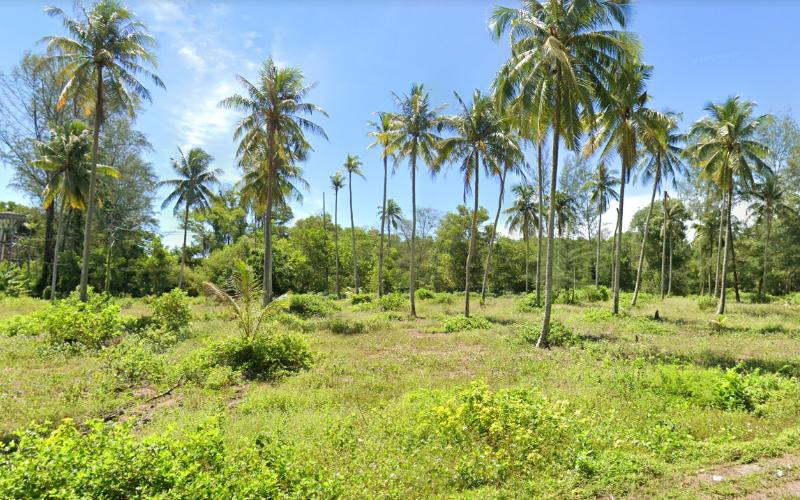 For SaleLandPhuket : Land For Sale in Thalang, Phuket 3-1-79.7 rai