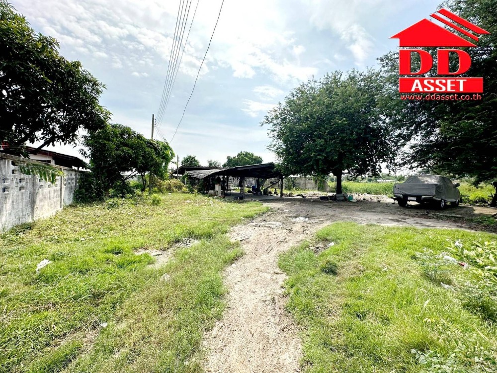 For SaleLandSamut Prakan,Samrong : Land for sale, Soi Theparak 114, Theparak Road, Mueang Samut Prakan District. Samut Prakan Province, property code L8001