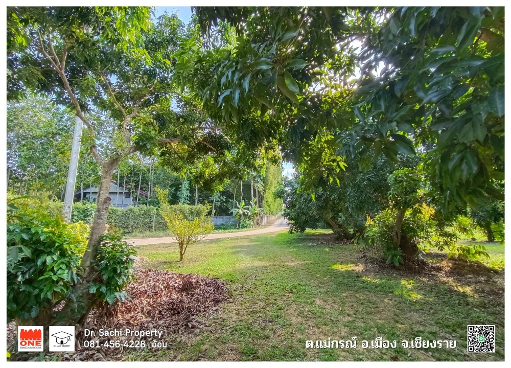 For SaleLandChiang Rai : Land for sale, 1-1-88.7 rai, near Singha Park, with fruit orchard, Mae Korn Subdistrict, Mueang District, Chiang Rai Province.