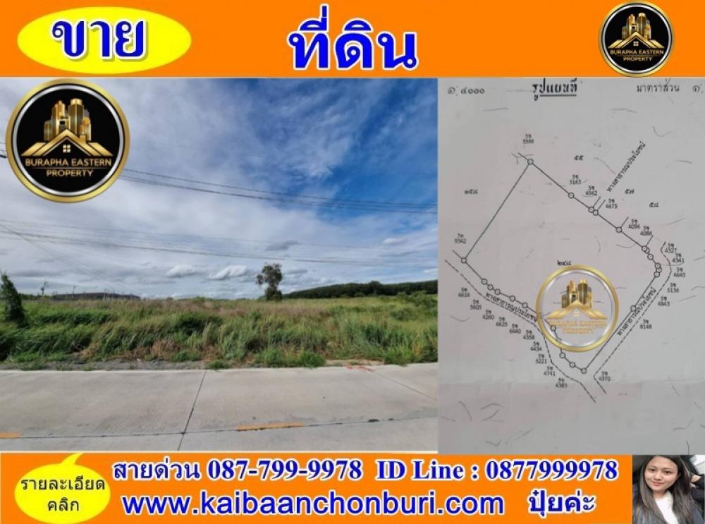 For SaleLandRayong : Land for sale in Mapyangphon, Rayong, 30 rai, 65 million only, 087-7999978 Khun Pui.