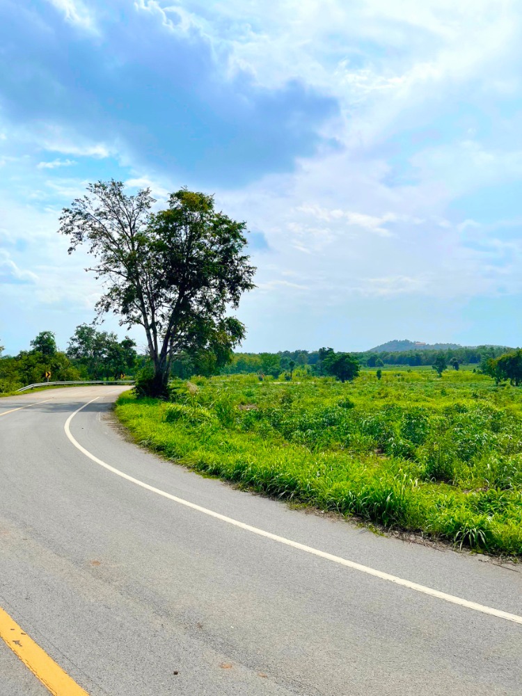 For SaleLandLamphun : Land for sale with mountains, large pieces of 300 rai or more, in the shape of flying birds.