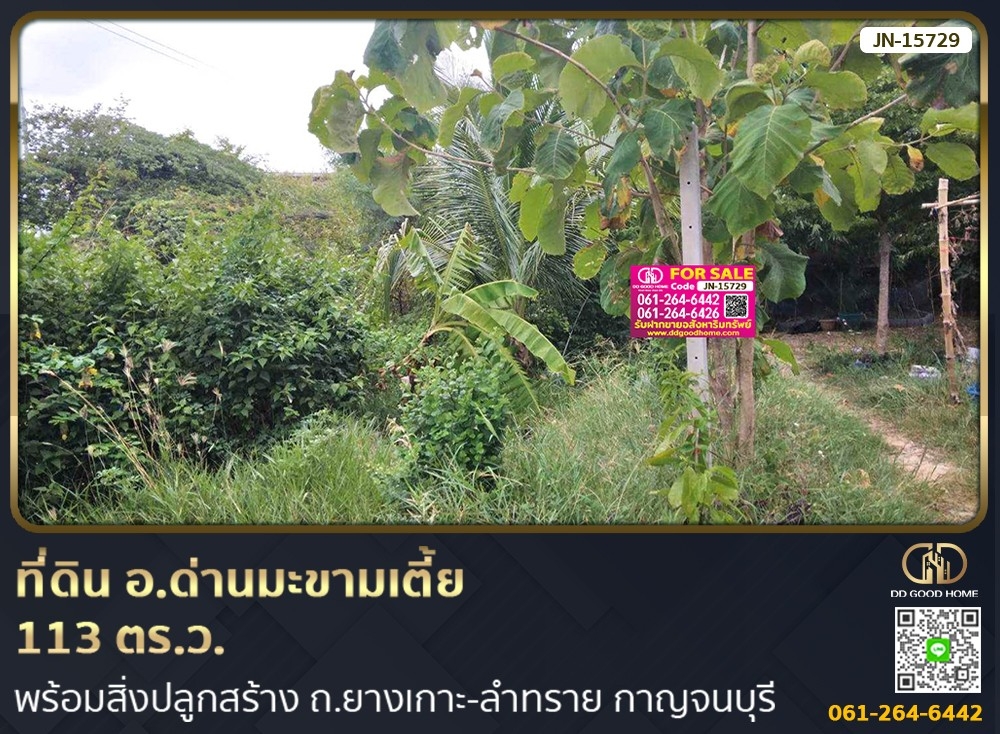 For SaleLandKanchanaburi : 📢Land in Dan Makham Tia District for sale 113 sq w with buildings. Yang Ko-Lam Sai Road, Kanchanaburi Kanchanaburi