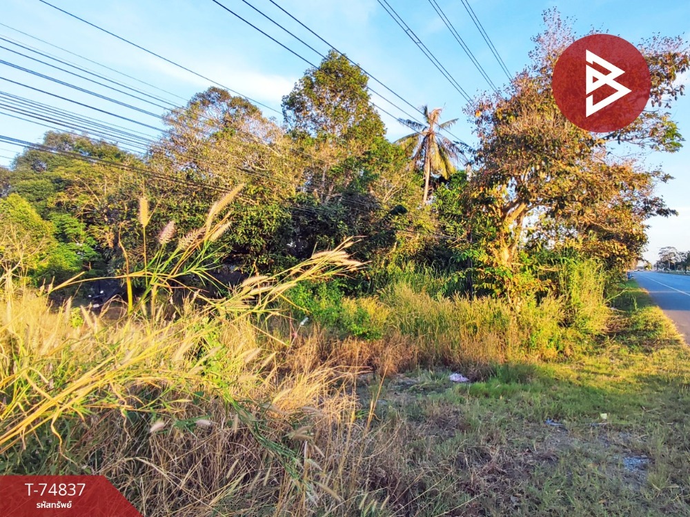 For SaleLandChanthaburi : Empty land for sale, area 3 ngan 37.5 square wah, Khlung, Chanthaburi.