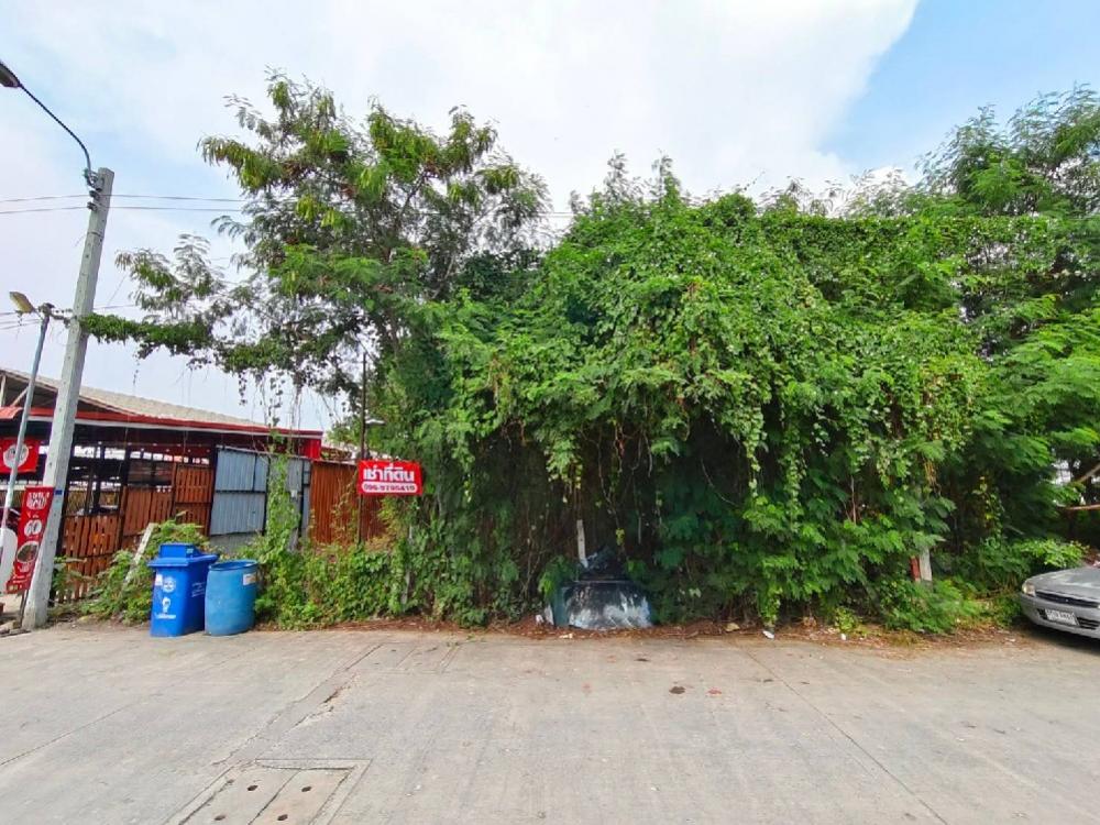 For RentLandPattanakan, Srinakarin : Empty land for rent, 99 sq wa, Soi Sri Dan 5, 100 meters from the alley.