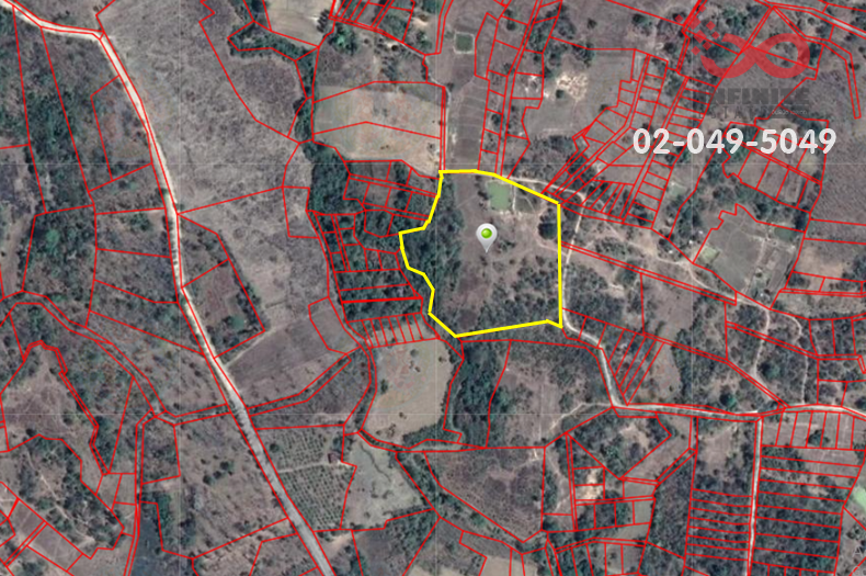 For SaleLandLampang : Land for sale with teak trees, 17 rai 1 ngan 50.7 square wah, Thoen District, Lampang Province, selling below appraised price.