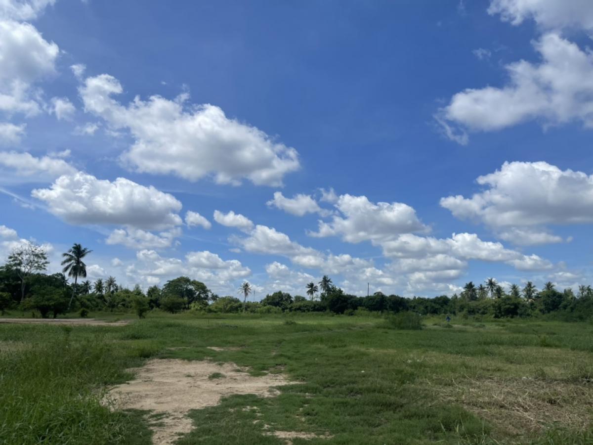 For SaleLandPhutthamonthon, Salaya : Vacant land on Borommaratchachonnani Road, Bangkok outbound side, 1.7 km from Central Salaya, area 70 rai 1 ngan 92 square wa, 10 rai already filled, beautiful plot, good location