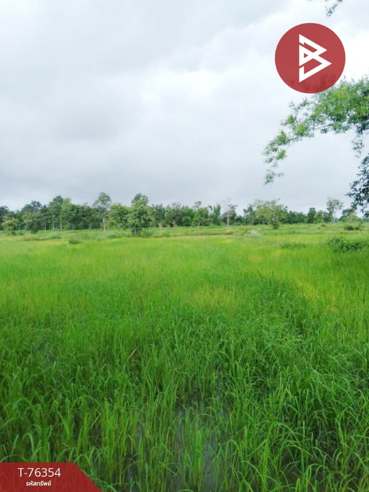 For SaleLandNakhon Phanom : Land for sale, area 26 rai 3 ngan, Ban Phueng, Nakhon Phanom.