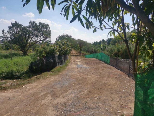 For SaleLandNonthaburi, Bang Yai, Bangbuathong : Land for sale in Soi Wat Lat Pla Duk, area 100 square meters, suitable for a residence, near the MRT Purple Line, Khlong Bang Phai Station. and near public utilities, Bang Khu Rat Subdistrict, Bang Bua Thong District, Nonthaburi Province