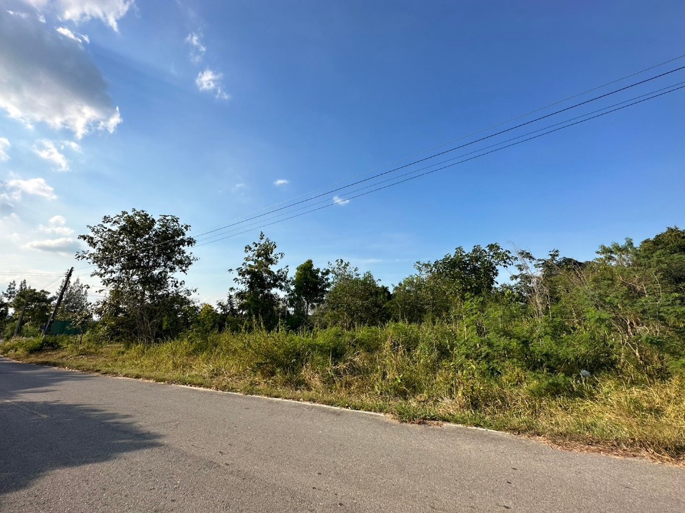 For SaleLandCha-am Phetchaburi : Beautiful land for sale, Khao Krapuk Subdistrict, Tha Yang District, Phetchaburi Province, 11 rai, price 3,850,000 baht, ready to transfer.