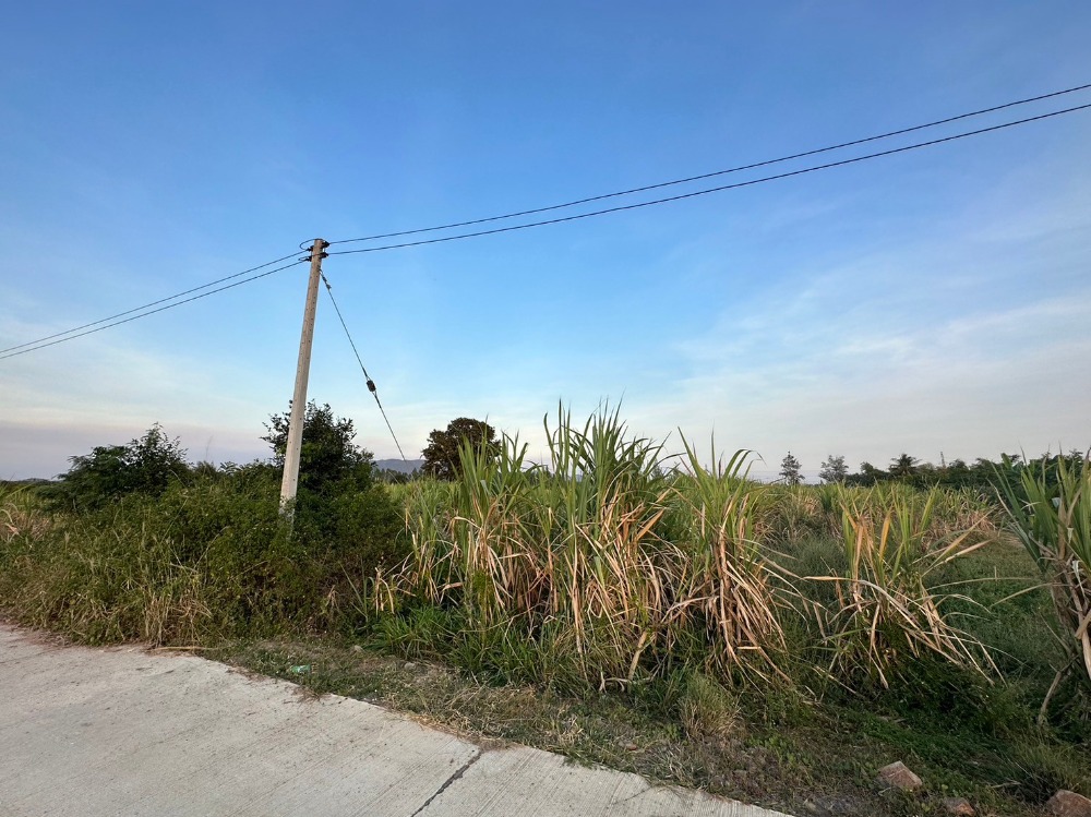 For SaleLandCha-am Phetchaburi : Beautiful land for sale, Huai Sai Nuea Subdistrict, Cha-am District, Phetchaburi Province, 11 rai 82 sq m. Price 4,900,000 baht, ready to transfer.