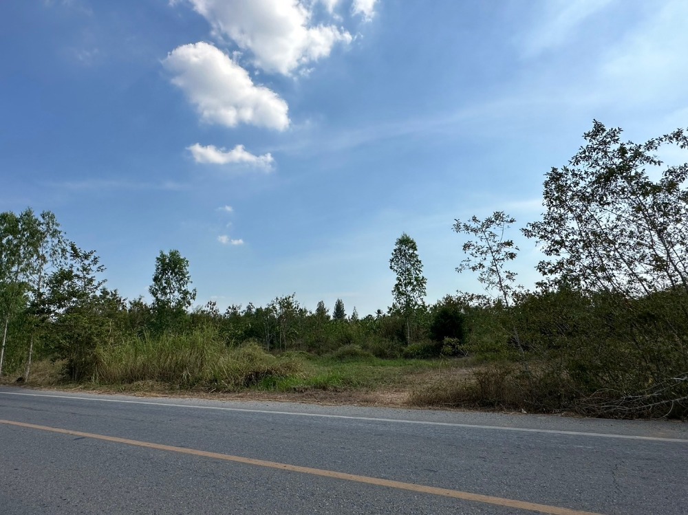 For SaleLandCha-am Phetchaburi : Land for sale next to the road, Khao Krapuk Subdistrict, Tha Yang District, Phetchaburi Province, 5 rai, price 3,250,000 baht, ready to transfer.