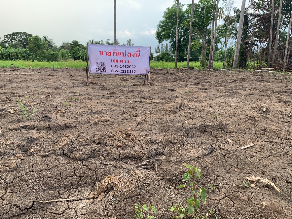 For SaleLandPathum Thani,Rangsit, Thammasat : Land for sale, 100 sq m., 690,000 baht, Khlong 12, Nong Suea, Pathum Thani, already filled in, fresh air, not far from the city, Soi Thetsaban, has neighbors.