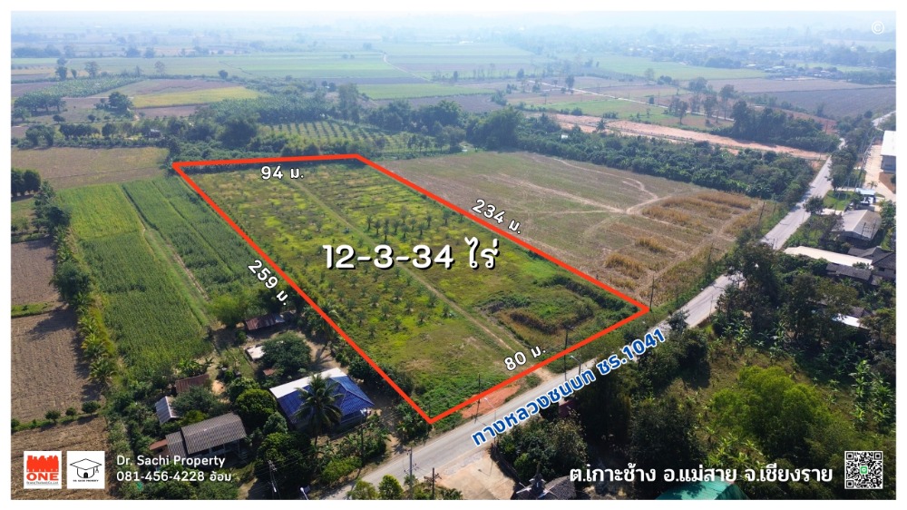 For SaleLandChiang Rai : Date palm orchard for sale, 12-3-34 rai, ready to harvest. The system was set up by the National Outstanding Agricultural Cooperative, Koh Chang Subdistrict, Mae Sai District, Chiang Rai Province.