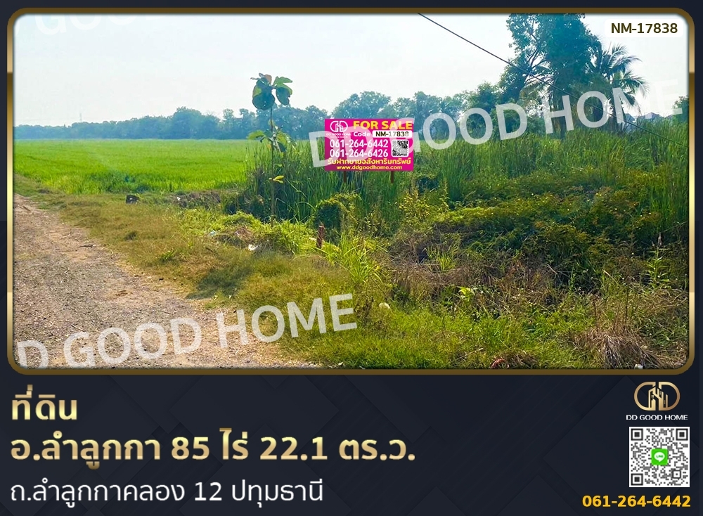 For SaleLandPathum Thani,Rangsit, Thammasat : 📢Land for sale Lam Luk Ka 12 District, 85 rai 22.1 sq w, Pathum Thani.