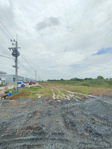 ขายที่ดินปทุมธานี รังสิต ธรรมศาสตร์ : ขายที่ดินพื้นที่สีม่วงเข้ม เริ่มเนื้อที่ 336 ตร.ว. - 2ไร่ ย่านปทุมธานี ลำลูกกาคลอง9 เหมาะกับทุกธุรกิจทุกชนิดโครงการมีสาธารณูปโภค