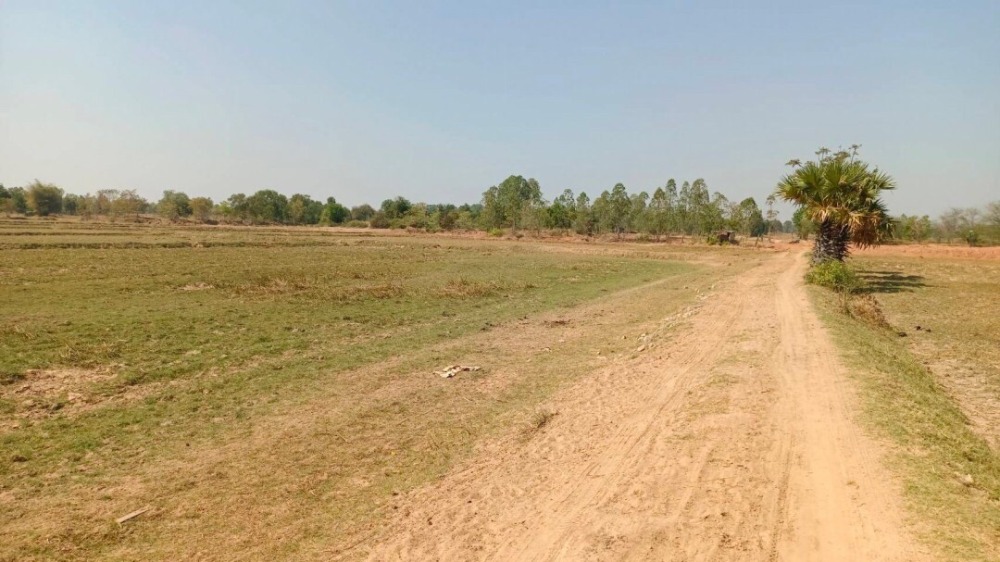 For SaleLandKorat Nakhon Ratchasima : Cheap empty land for sale, area 22 rai 2 ngan 84 sq m, good location, close to public roads. Han Huai Sai Subdistrict, Prathai District, Nakhon Ratchasima Province