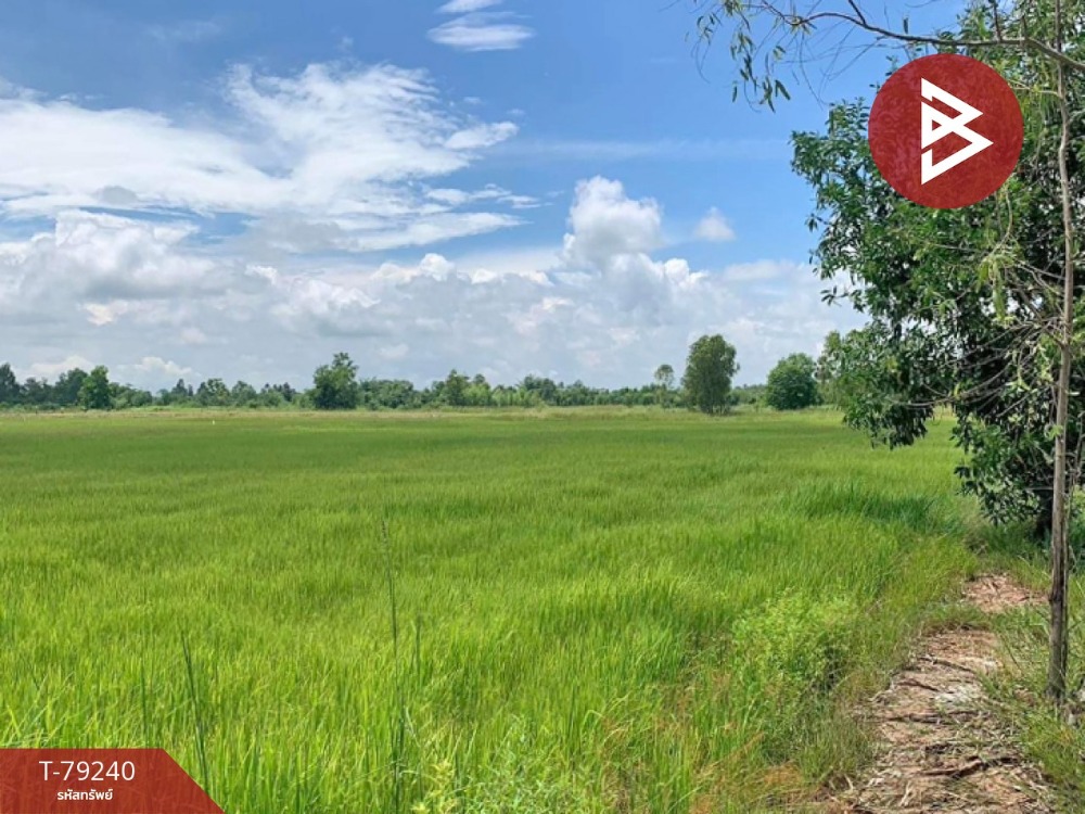 For SaleLandSakon Nakhon : Empty land for sale, area 18 rai 32 square wa, Waritchaphum, Sakon Nakhon