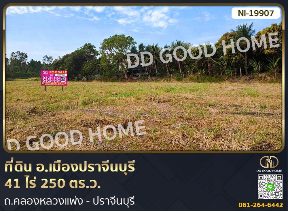 For SaleLandPrachin Buri : 📢Land for sale Mueang Prachinburi District, 41 rai 250 sq w, Khlong Luang Phaeng - Prachinburi Rd.