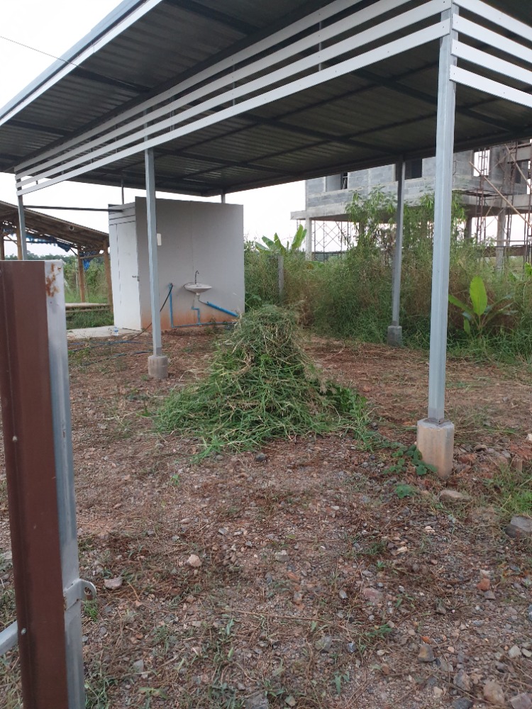 For RentLandMin Buri, Romklao : Land for rent