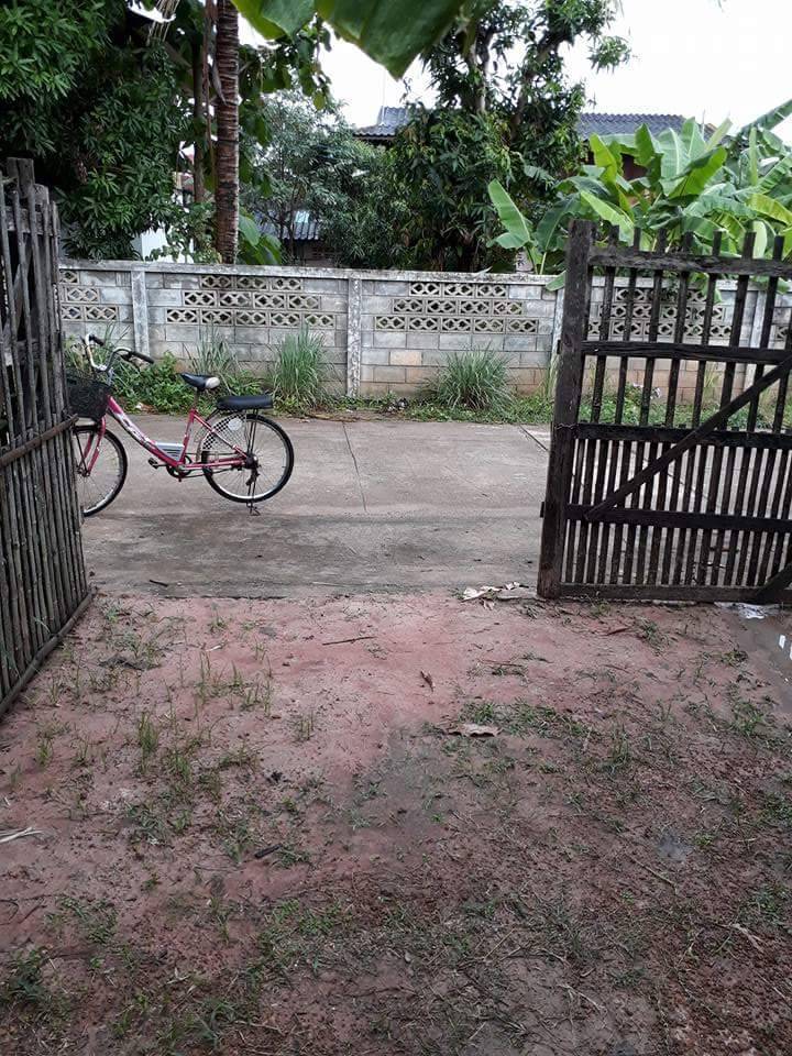 For SaleLandPhayao : The owner is selling the land in Phayao Province.