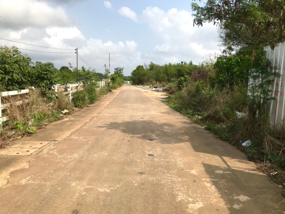 For SaleLandPattaya, Bangsaen, Chonburi : 8 rai of vacant land near Nong Nooch Tropical Garden. The plot is beautiful, rectangular in shape. Easy to travel, near the motorway entrance to Jomtien Beach, Pattaya.