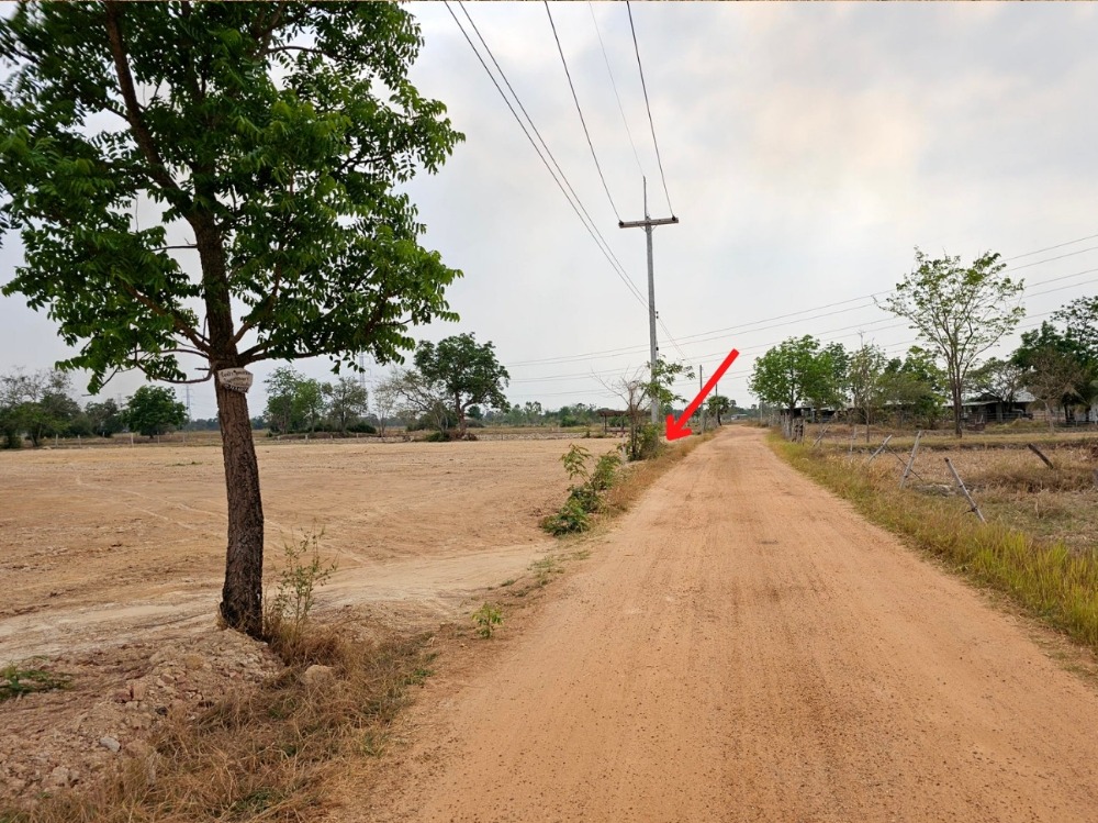 For SaleLandKhon Kaen : Beautiful plot of land near Khon Kaen Airport, 1 rai, width 25 m., filled in, no flooding, has tap water and electricity.