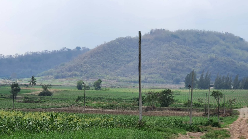 For SaleLandSriracha Laem Chabang Ban Bueng : Allotted land for sale, Nong Irun, Ban Bueng, Phanat Nikhom, Chonburi, 187 rai, title deed already divided.