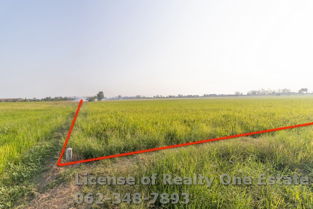 For SaleLandAng Thong : Land for sale, rice field, Songhaeng Subdistrict, Songhaeng District, Ang Thong Province, cheap price.