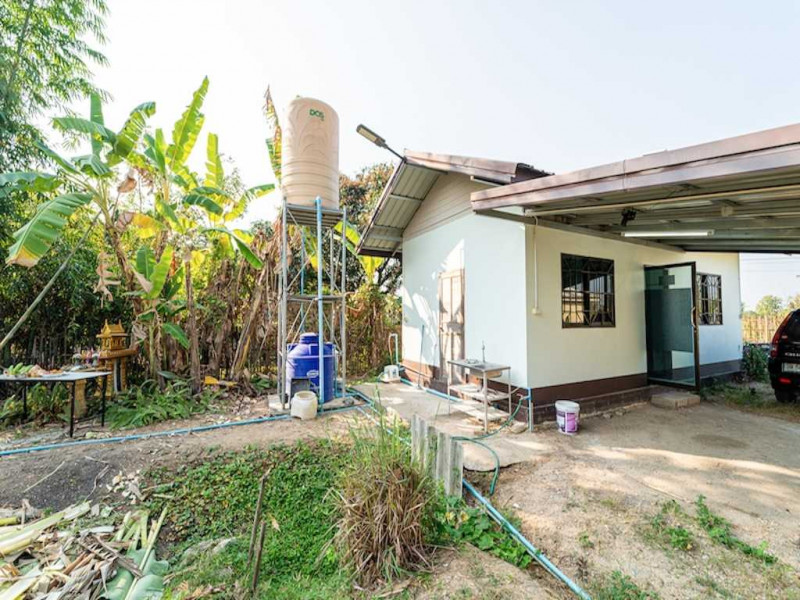 For SaleHouseLamphun : L80984 Single house for sale in Suan Kaset, 1 bedroom, 1 bathroom.