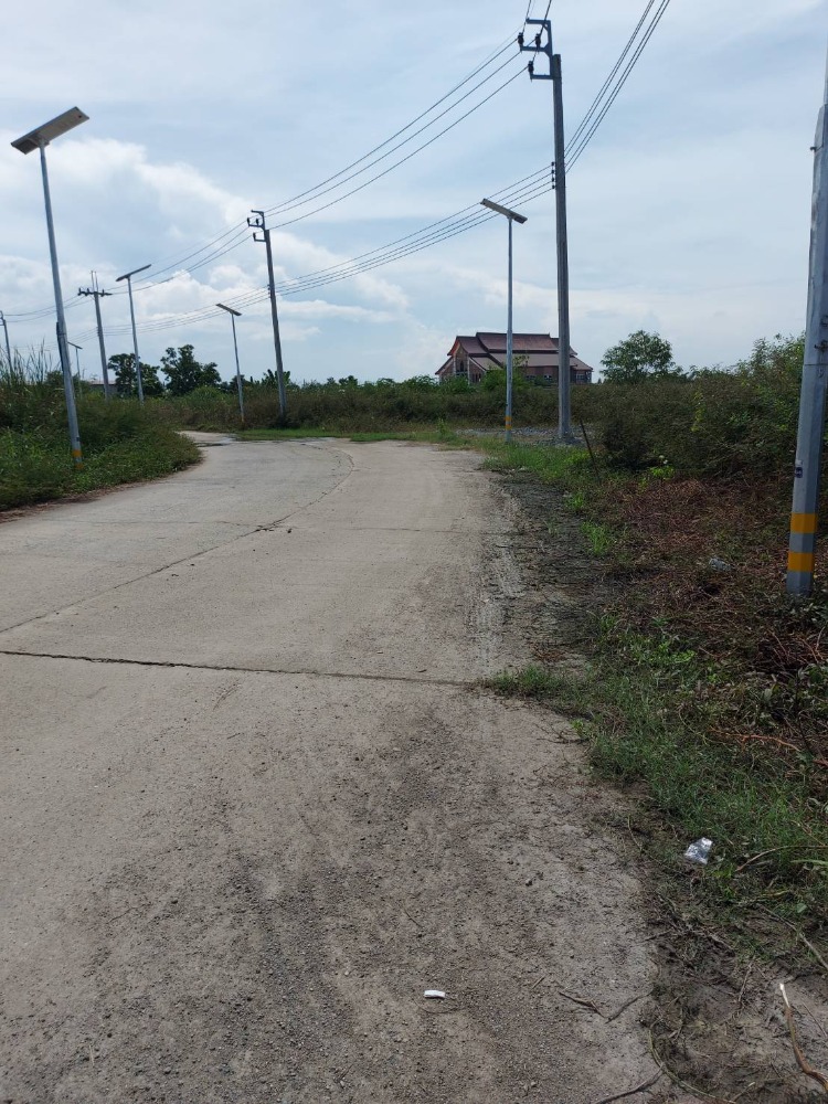 For SaleLandSamut Prakan,Samrong : Land Bang Bo Samut Prakan / 53 rai 2 ngan 40 square wah (for sale), Land Bang Bo Samut Prakan / 21.19 Acre (FOR SALE) COF494