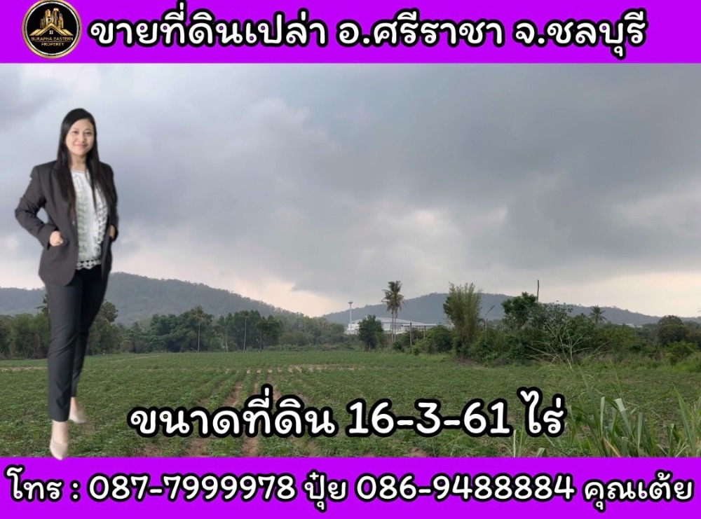 For SaleLandSriracha Laem Chabang Ban Bueng : Purple land for sale, cheapest in this area, Sri Racha, Sri Racha District, Chonburi Province.