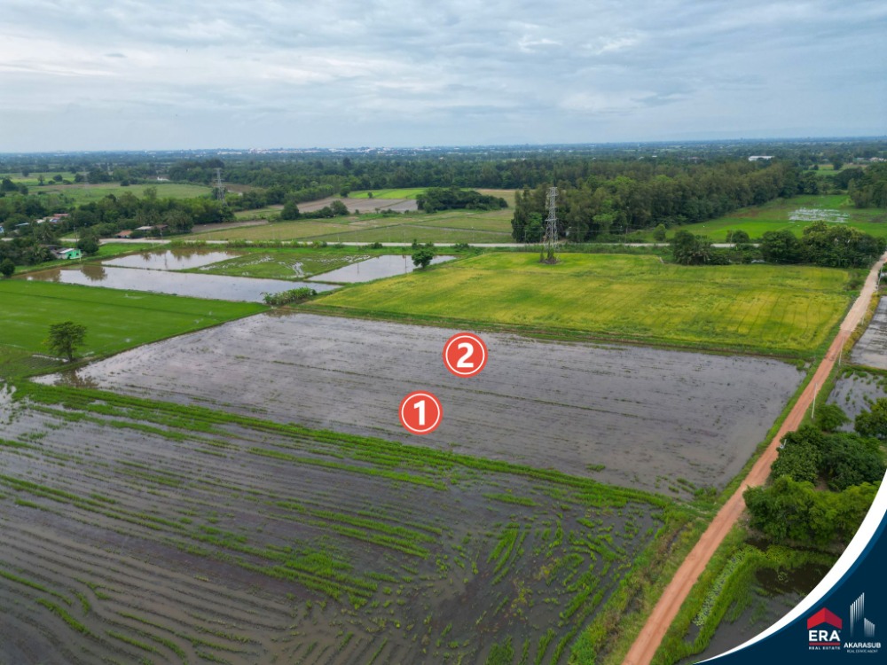 For SaleLandPhitsanulok : Large plot of land for sale, 14 rai, 2 ngan, 29 sq m, Bang Rakam District, next to the road.