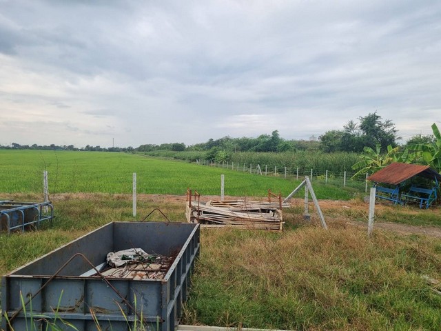 For SaleLandChachoengsao : Land for sale, filled in EEC area, purple plan, white dots, Mueang Chachoengsao District, area 40 rai, road width 12 meters, big cars can enter easily, beautiful plot, wide frontage, on public road