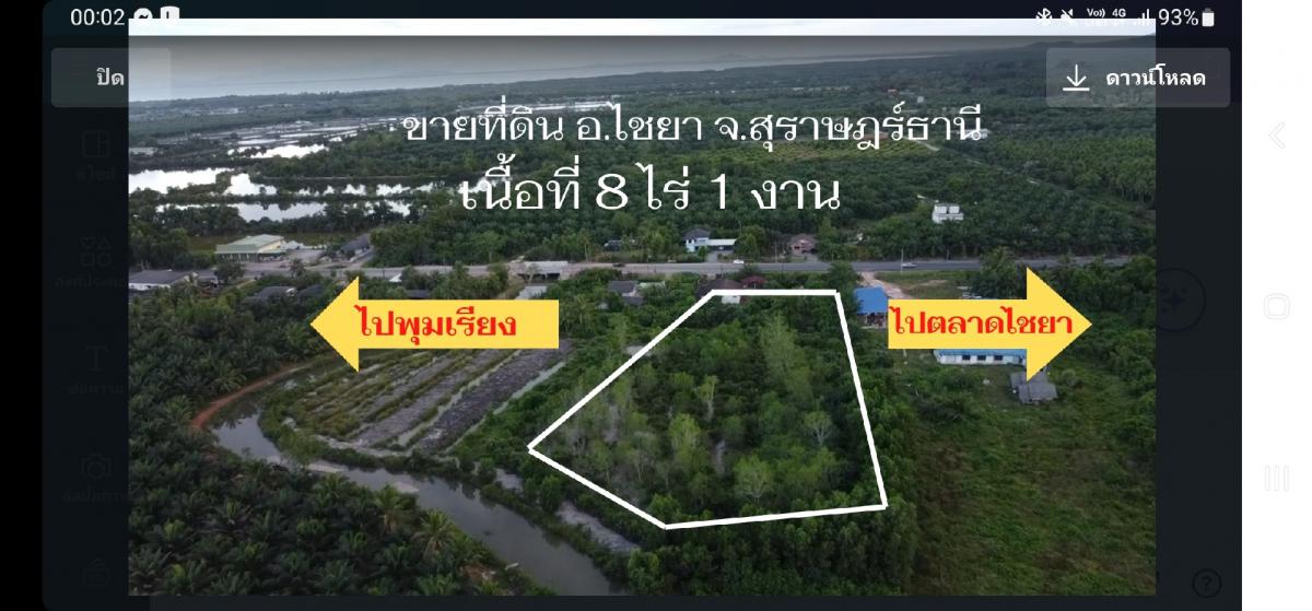 ขายที่ดินสมุย สุราษฎร์ธานี : ขายที่ดิน 8ไร่ ไชยา สุราษฎร์ธานี หน้าติดถนน หลังติดคลอง