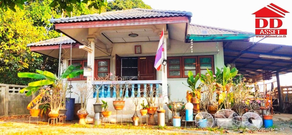 ขายบ้านสระบุรี : ขายบ้านพร้อมที่ดิน สระบุรี ใกล้โรงเรียนเกตุพิชัยวิทยา สระบุรี 1.5 กม.ใกล้ถนนเลี่ยงเมือง ใกล้สถานีรถไฟฟ้าความเร็วสูง รหัสทรัพย์ : H8068