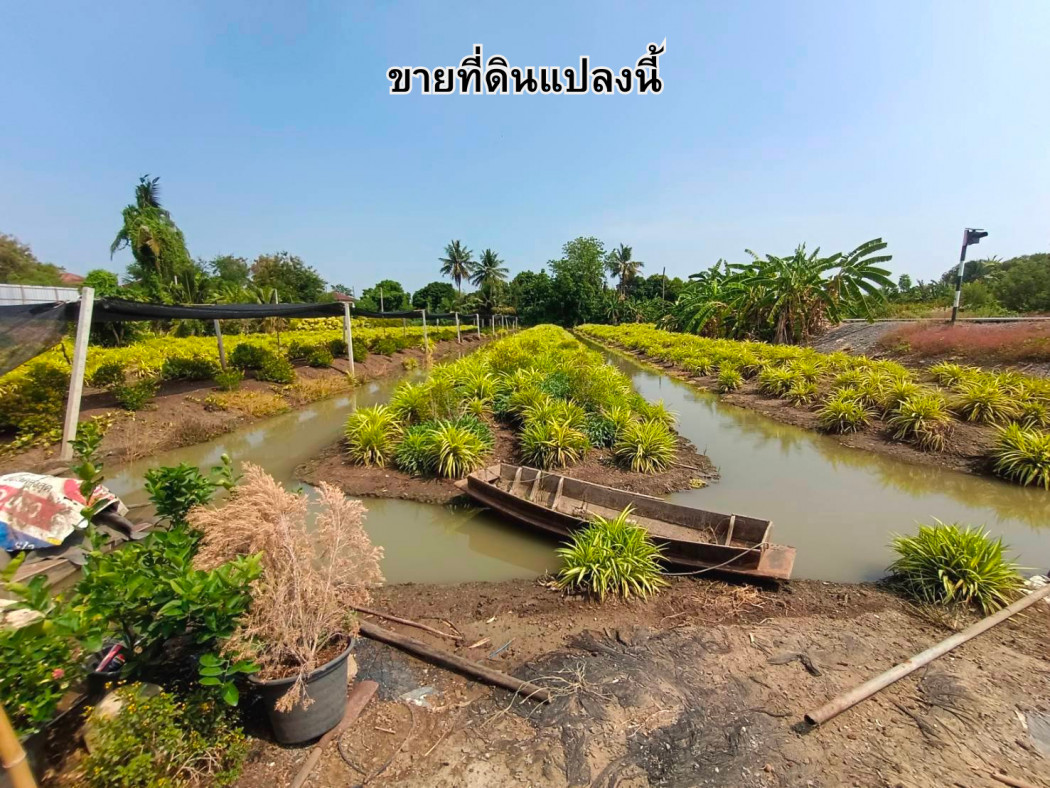 For SaleLandNonthaburi, Bang Yai, Bangbuathong : Land for sale 3 rai 3 ngan 92 square wah, Soi Santitham 2, Bang Yai, Nonthaburi.