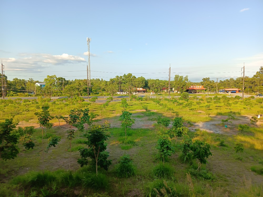 ขายที่ดินตราด : ขายที่ดินเปล่าติดถนนสุขุมวิท   ใกล้ อบจ.เมืองตราด  จำนวน6ไร่2งาน67.6ตร.ว.